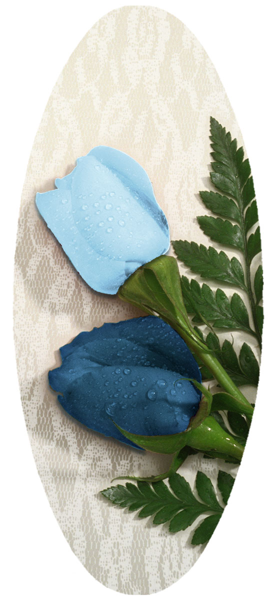 A18 2 BL Roses (new colors) PROOF